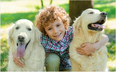 Os animais podem ser transmissores e apanharem piolhos